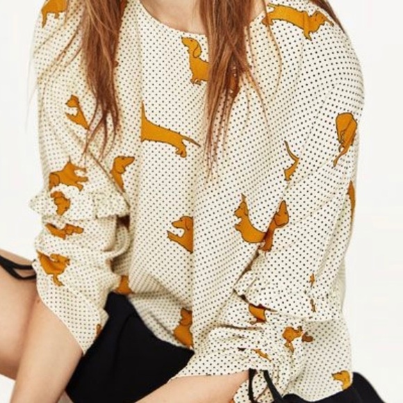 ZARA Dachshund Dog Blouse Size Large - Picture 8 of 8